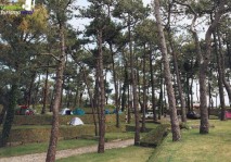 Camping y Bungalows El Rosal