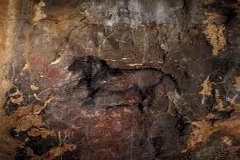 Cueva de la Garma detalle figura de caballo Cantabria Cantabriarural