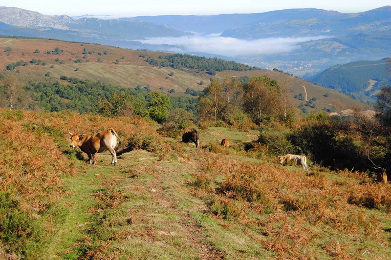 Monte Tejea Valle de Villaverde Cantabria Cantabriarural