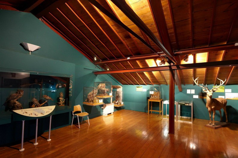 Museo de la Naturaleza de Cantabria Cantabriarural
