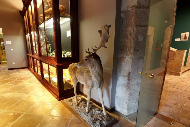Museo de la Naturaleza de Cantabria Cantabriarural