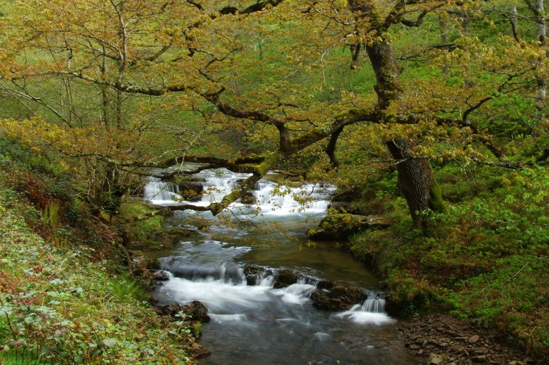 Parque Natural Saja Besaya Cantabria Cantabriarural