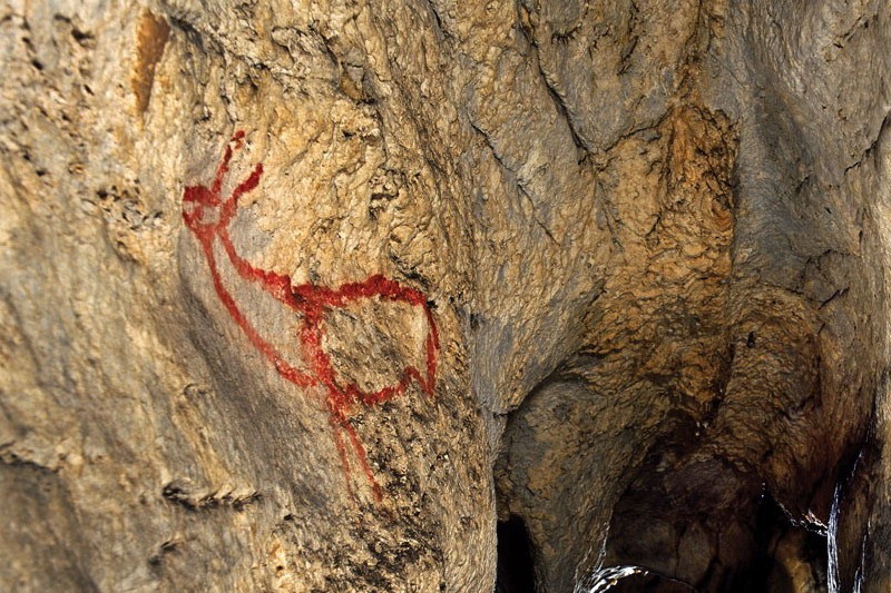 Cueva de Covalanas Una de las Ciervas Cantabria Cantabriarural