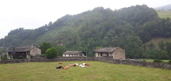 Posada Rural La Braniza, Posadas de Cantabria en Vega de Pas