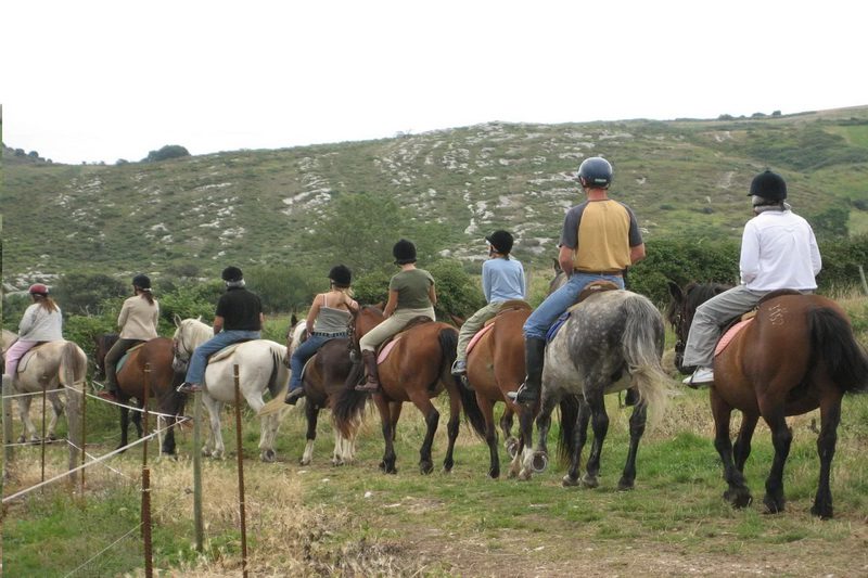 Clases de Equitación en Cantabria