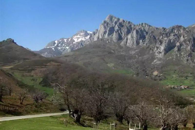 El Castañar de El Habario,Qué ver en Liébana (Cantabria) lugares de interés