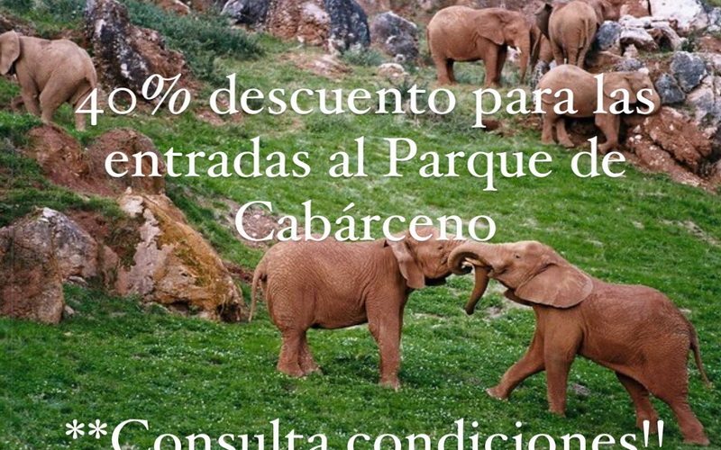 40% de descuento en entradas a Cabárceno